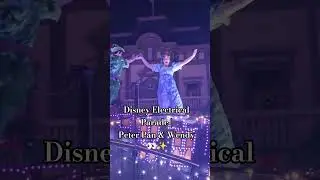 Disney Electrical Parade | Peter Pan & Wendy 👀✨ #DisneyWorld #PeterPan #ElectricalParade #Shorts