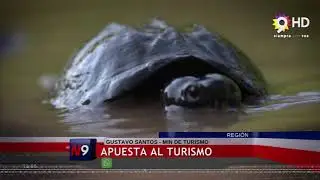 APUESTA AL TURISMO #9LINK