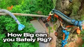 Tree Removal | Deadly Consequences If I get This Wrong!