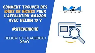 Site de niche Affiliation Amazon + r&eacute;sultats  - Comment trouver des id&eacute;es de niches avec Helium 10 ?