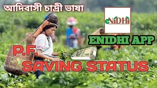 tea garden pf saving money check|| online pf saving money check||adivasi Sadri Tech