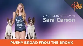 A Conversation With Sara Carson | Women Who Push For More
