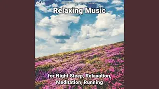 Perfect Soundscapes