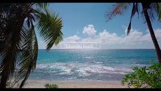 Seychelles Takamaka beach 4k drone video