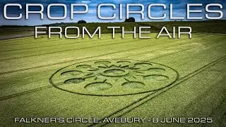 Avebury Crop Circle | Falkner's Stone Circle | 8 June 2025 | Crop Circles From The Air