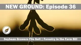 New Ground -- Episode 36: Minnesota Lawsuit; Forestry in the Farm Bill