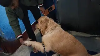Orry ne handshake kiya sabko