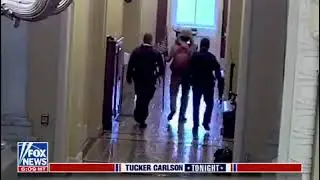 Video shows Jacob Chansley led through the Capitol by police entire time that he was in the building