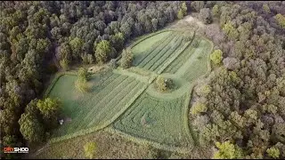 TIPS FOR PATTERNING DEER EARLY SEASON OVER FOOD SOURCES