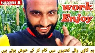 Work enjoy||village life work|| beautiful village||shortvlog||viralvlog||ray nadeem||villagelifevlog