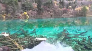 255A Five Flower Lake, Jiuzhaigou