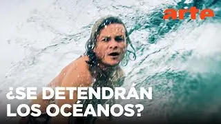 42: la respuesta a casi todo: ¿Se detendrán pronto los océanos? | ARTE.tv Documentales
