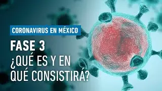 Qu&eacute; es y en qu&eacute; consistir&iacute;a la Fase 3 ante coronavirus en M&eacute;xico