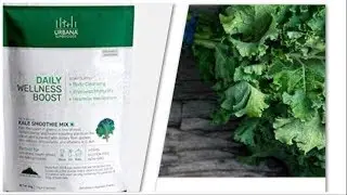 Why is Kale 🥬 know as SUPER FOOD?