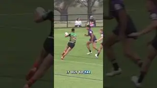 Best of 2025 - Taj from Terrigal #bunniestv #rabbitohs @BarTVSports