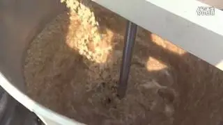 Automatic sesame peeling machine