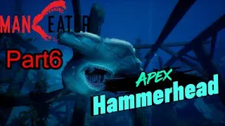 Maneater Story Mode:Bull Shark Vs Hammerhead Shark In Sapphire Bay[Gameplay No Commentary]