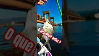 TREM 😱,peixe &eacute; isca ARTIFICIAL, n&atilde;o parece estranho ou imagem PERFEITA.#pesca #fish #iscaartificial