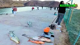 ESTA JORNADA PARECIA TORNEO DE PESCA !!