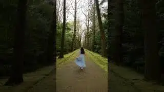 A magical place in Terra Nostra Park - S&atilde;o Miguel, Azores