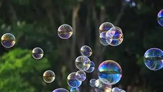 Soap bubbles floating in the air.