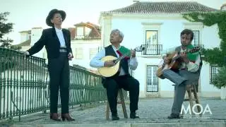Cavalo Ru&ccedil;o