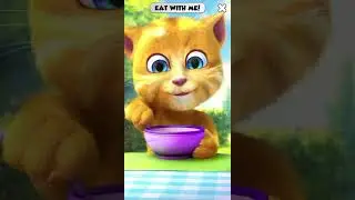 Let's play together with Talking Ginger 2 #cat #shorts #playgames3d