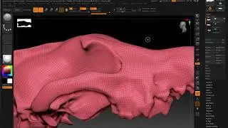 Retopologizing a dense model with ZRemesher