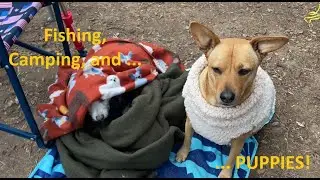 Fishing, Camping, and Dogs. Oh My!