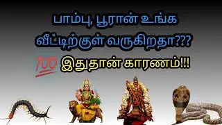 பூரான்,பாம்பு வீட்டுக்கு வந்தால் என்ன பலன்/விஷ பூச்சிகள்/ஆன்மீக பரிகாரம்