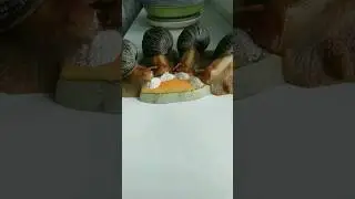 four funny African Snails eat Pumpkin 😍 #shorts