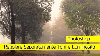 Photoshop Regolare Separatamente i Toni dalla Luminosità