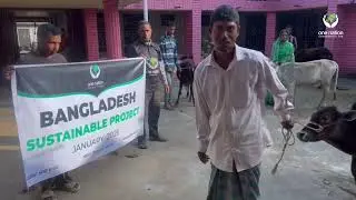 Bangladesh &ndash; Sustainable Projects (Cow Distribution)