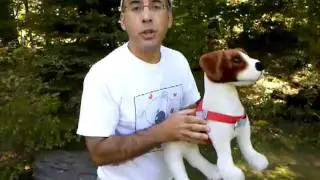 Dan Shows why Walk Your Dog With Love is The Worlds Best Dog Harness