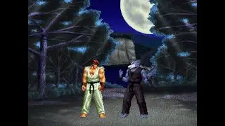 Ryu vs Den Okami