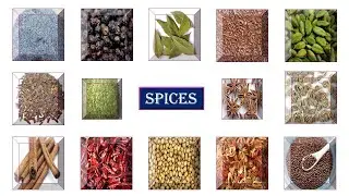 60 Spices name in ENGLISH with pictures | Spices and Condiments names in English | Learn & Nurture