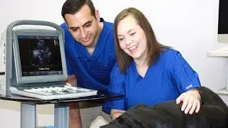 High Value Chison ECO 1 Vet Best Selling Portable Ultrasound