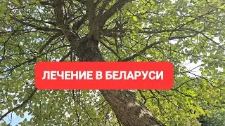 [Жизнь в Литве] Лечусь в ЯНТАРНОЙ КОМНАТЕ Хождение по КАМНЯМ