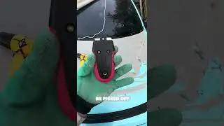 Removing 10 year Old Vinyl Wrap #vinylwrap #performance #diy ￼