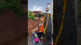 navelim Goa Modi Shani temple Om Shani devay Namah🙏