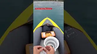 #barbun #istavrit #lagos #fishing #hanfish #balık #deniz #fish #camping #tatil #lrf #turkey #kamp