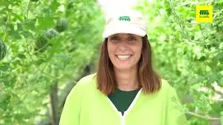OUR PATH TO PURPOSE - Semillas Fit&oacute;