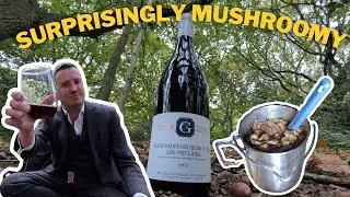 Philippe Gavignet Nuits Saint Georges 1er Cru 
