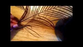 Peacock Masquerade Mask