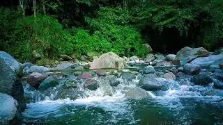 Gentle River Flow Sleep Music to Calm the Mind & Drag Away Worries Overnight