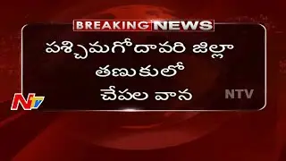 Fish Rain in West Godavari District | Fish Rain Thrills People | NTV