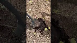 Нам всегда будет не хватать твоих поглаживаний и скольжения по мокрой земле 🫡. Продолжаем с Arcaris.