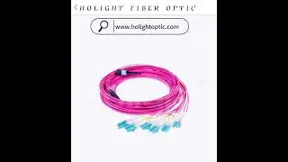 Get your MPO Patch Cable today!  ✉ Email:beta@holightoptic.com #MPO #Cable #FiberOptic #PatchCord