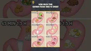 How much time certain Foods take to digest #shorts #youtubeshorts #food #digestion