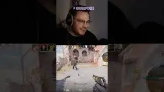 cs2 chickens are crazy!